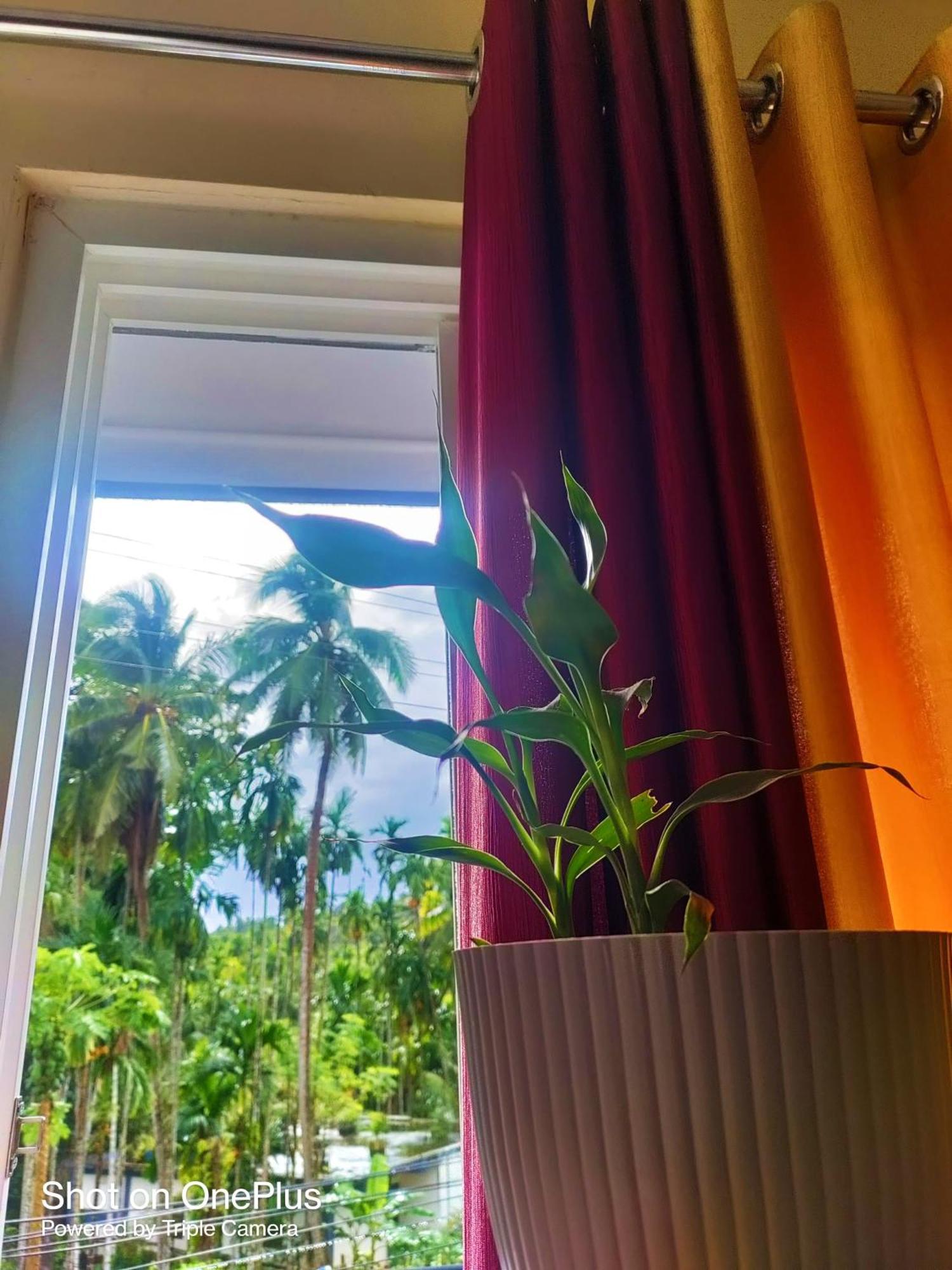 Hilton Garden Homestay Port Blair Eksteriør bilde